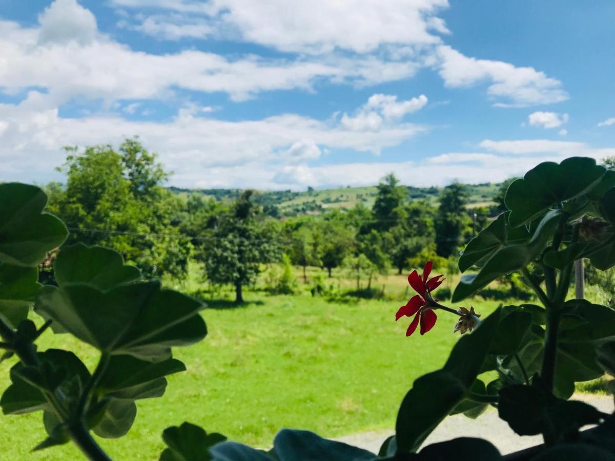 Agropensiunea Duminora Lăschia Exteriér fotografie