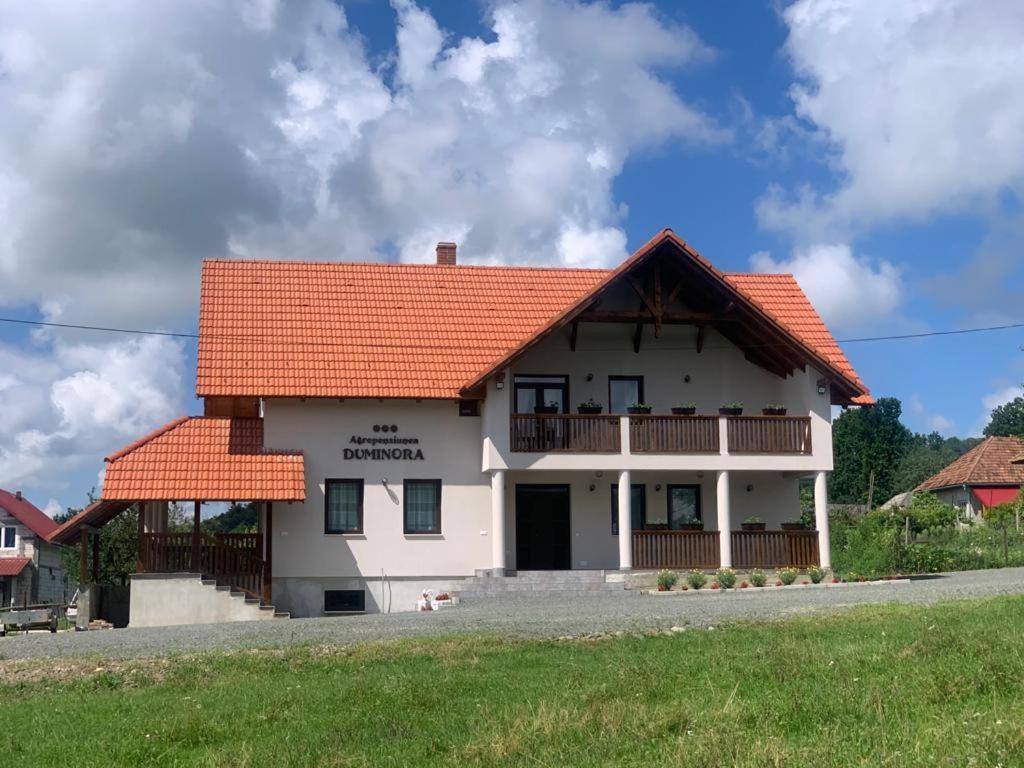 Agropensiunea Duminora Lăschia Exteriér fotografie