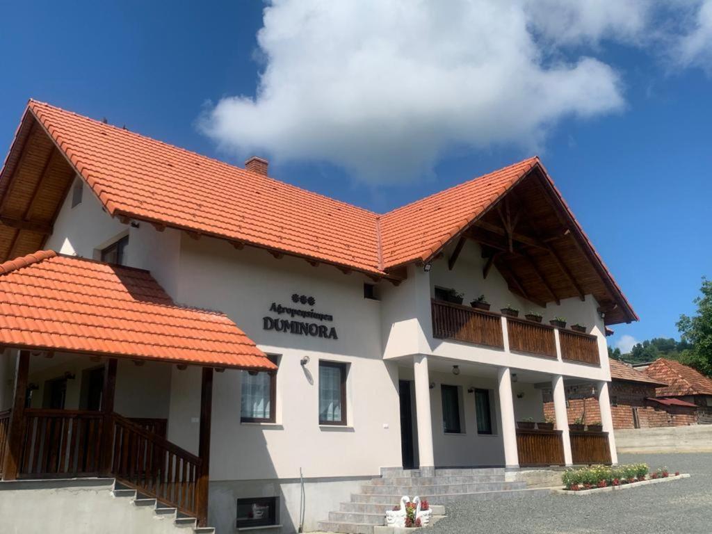 Agropensiunea Duminora Lăschia Exteriér fotografie